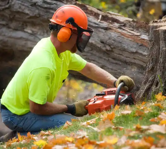 tree services New Square